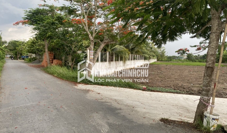 ĐẤT ĐẸP – GIÁ TỐT- CHÍNH CHỦ CẦN BÁN ĐẤT Tại  Xã Tân Lân, Huyện Cần Đước, Long An